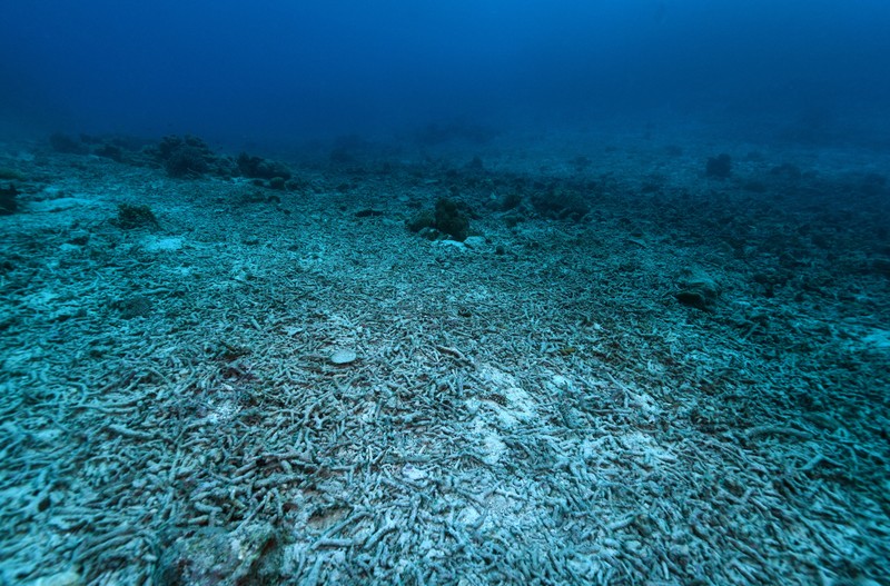 テラ・クライシス：迫る臨界点 “楽園”の島民が直面する「国を離れる