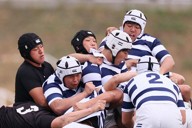 全国高校ラグビー：2回戦 京都成章、快勝で年越し チーム一体で攻撃