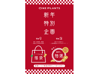 ONE PLANTSの新年福袋で観葉植物を楽しむ提案