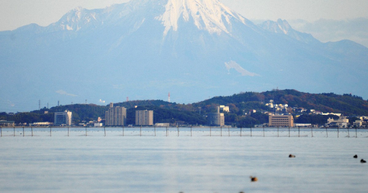 宍道湖産ヤマトシジミ、GI登録　「ばけばけ」効果で売り上げ大幅増