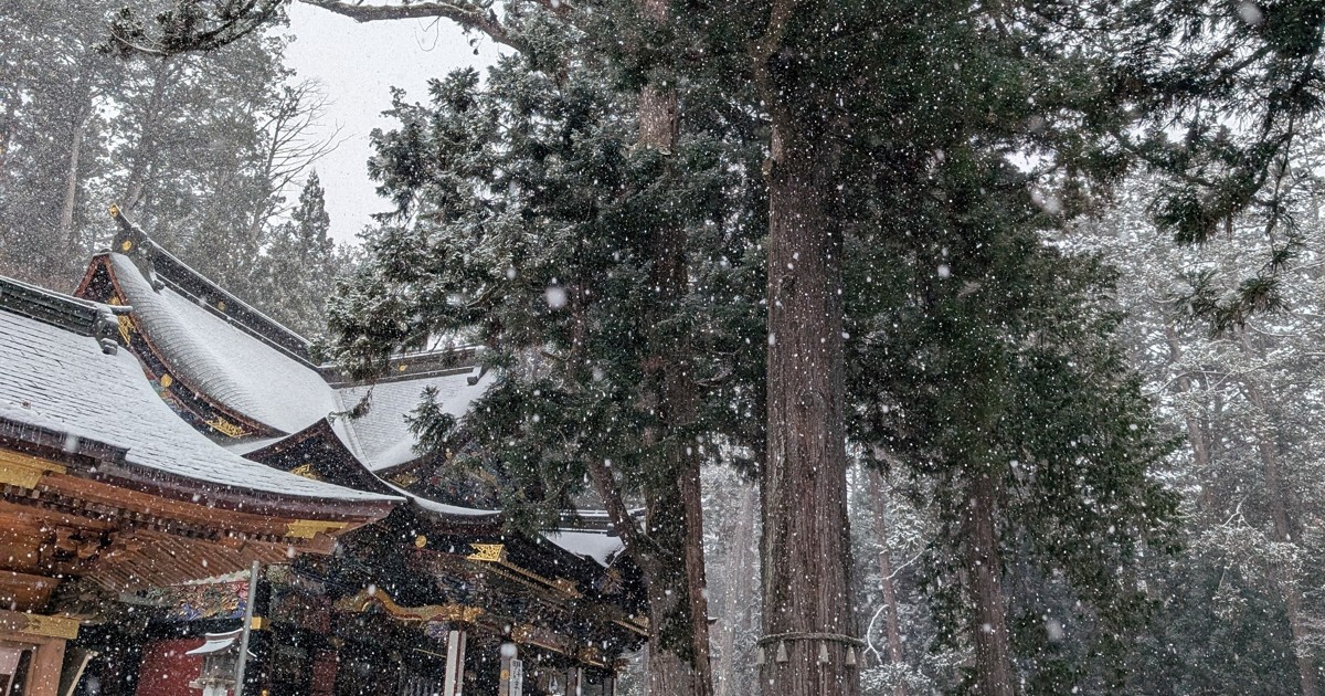 埼玉・三峯神社で参拝客が孤立　除雪作業による通行止めで