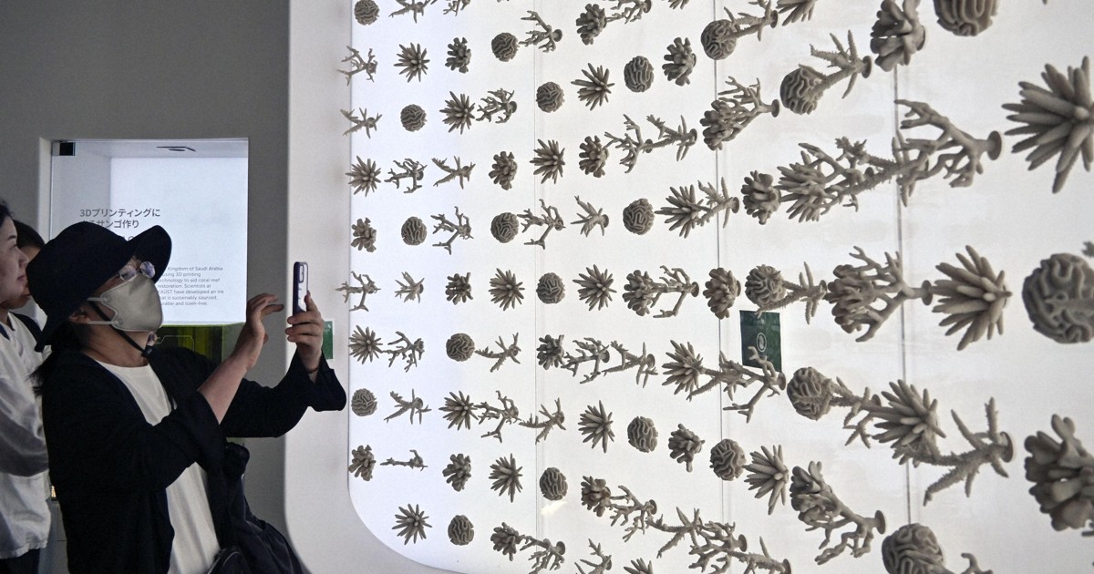 Japan using Saudi-made coral skeletons from expo for sea conservation