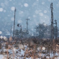 輪島朝市は地震発生時刻を過ぎて雪に見舞われた＝石川県輪島市で2026年1月1日午後4時18分、中川祐一撮影