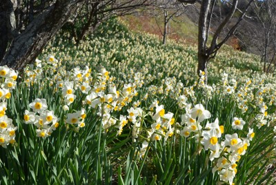 写真 | 毎日新聞