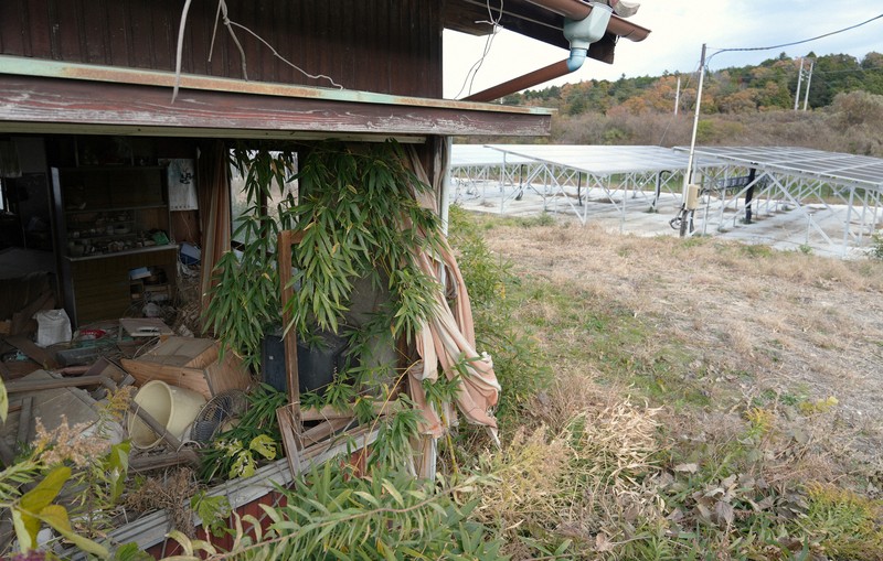 テラ・クライシス：被災地覆う太陽光パネル 復興促進で税優遇