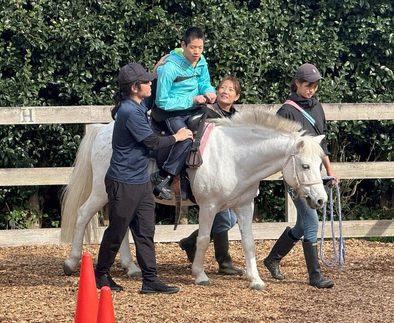 きっとウマくいく2026：／3 障害ある子にセラピー（その1） 馬と