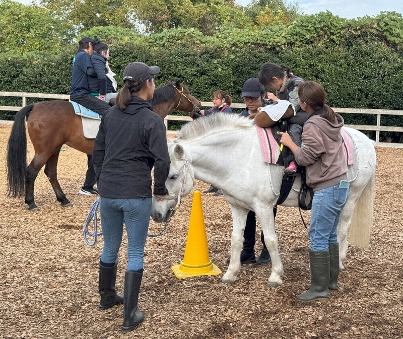 きっとウマくいく2026：／3 障害ある子にセラピー（その1） 馬と