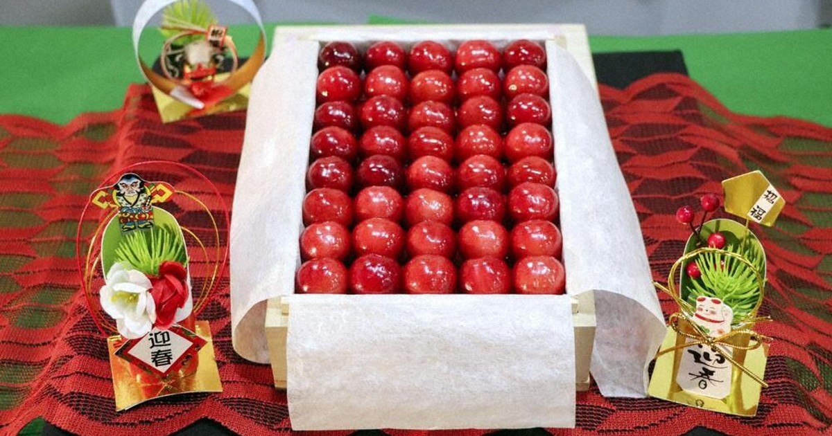 年末年始SALE✨ ✨現物①点限り✨超激レア✨光淋錦✨こうりん錦✨ 佐藤錦」1箱155万円 68粒入り 天童で初競り ／山形 | 毎日新聞