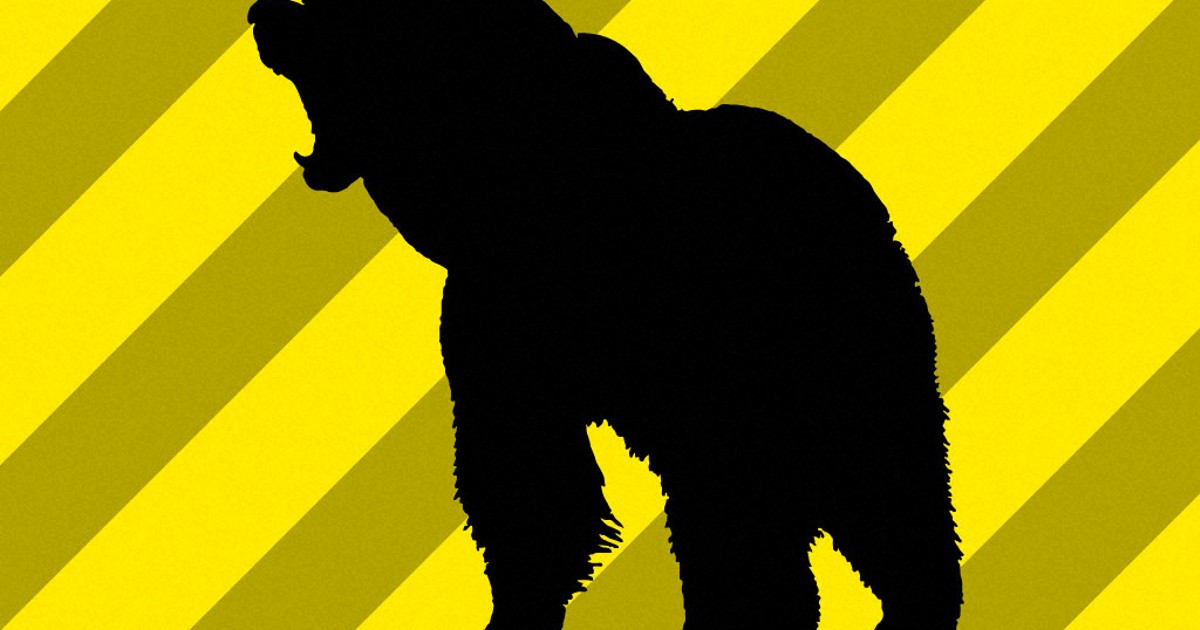 クマ出没件数、捕獲数が過去最多　25年4～11月速報値 　環境省