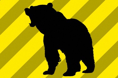 クマにイラスト（共同）