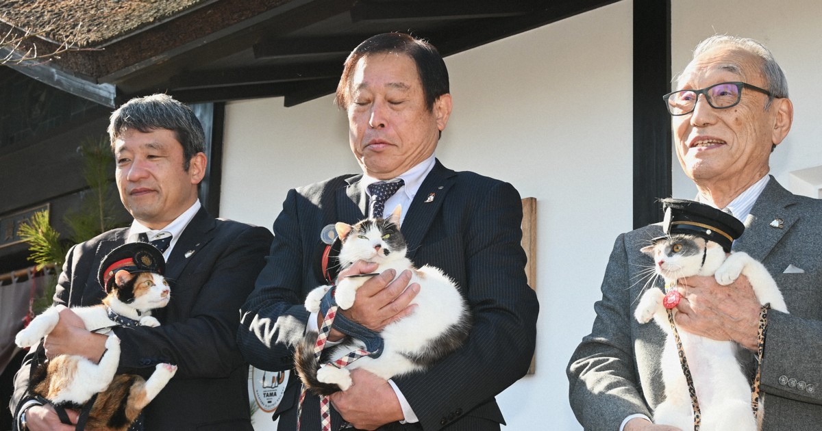 3代目の三毛猫駅長デビュー 旅立った「ニタマ」の後任 和歌山 | 毎日新聞