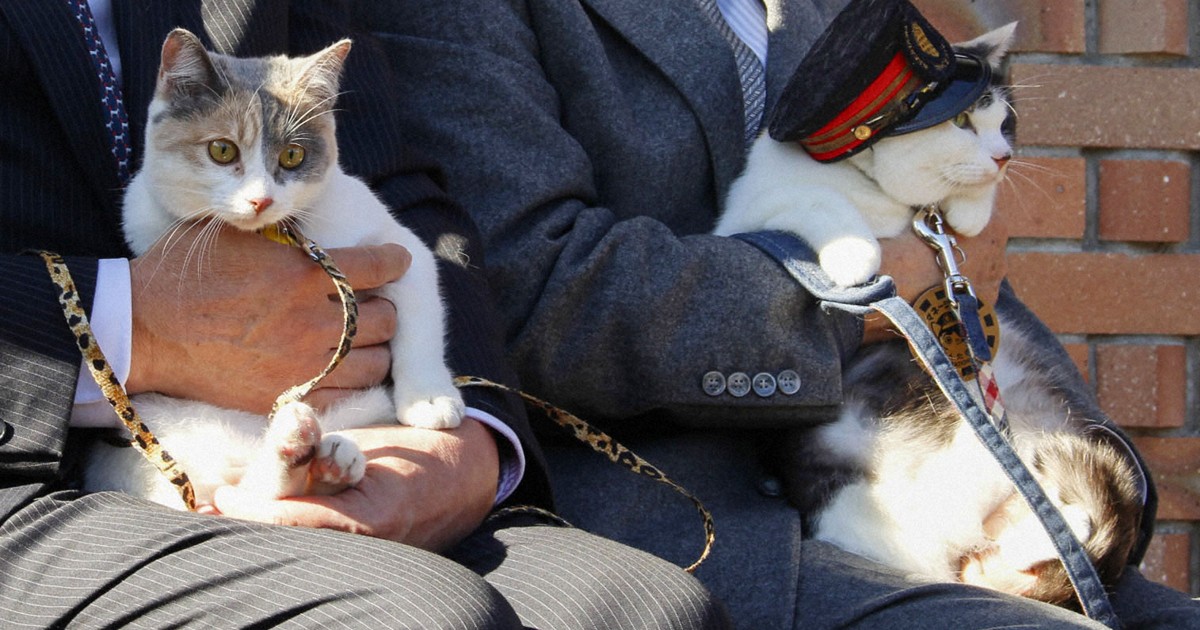 Japan railway names 3rd cat stationmaster
