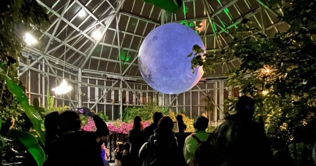 TOKIWAナイトミュージアムで月夜の植物散歩