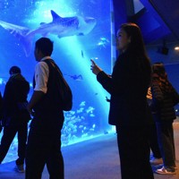 2024年の能登半島地震で被災したのとじま水族館を見学する福井工大福井高校とタイの姉妹校の生徒ら。専門家から建物だけでなく配管なども被害を受けたなどと説明を受けた＝石川県七尾市で2025年11月18日午前9時19分、衛藤達生撮影