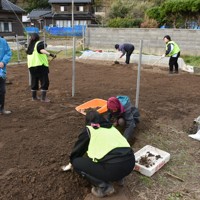 能登半島地震と豪雨で自宅が全壊し、一時は「ふるさとに戻れない」とうちひしがれた山本静子さんは北陸学院大の田中純一教授（左から2人目）と学生らによる田畑の泥出しボランティアなどのおかげで笑顔を取り戻した＝石川県輪島市門前町深見で2025年11月23日午後2時32分、中尾卓英撮影