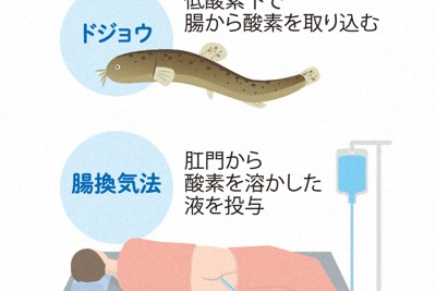研究：閱讀紙本漫畫比平板更能理解內容、抑制腦部活動
