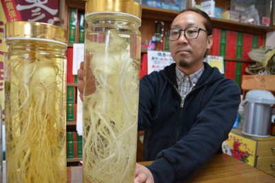 焼酎につけたオタネニンジン＝福島県喜多方市で