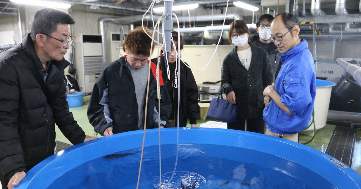 'Maniac' behind-the-scenes tour at aquarium in west Japan's Shimonoseki proves popular （2026/1/19）