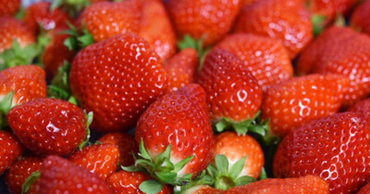 プレスリリース：［1月15日はいちごの日］まるで宝石のような甘～い