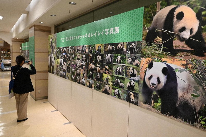 思い出、たくさんありがとう 写真100枚パンダ展 松坂屋上野店 ／東京