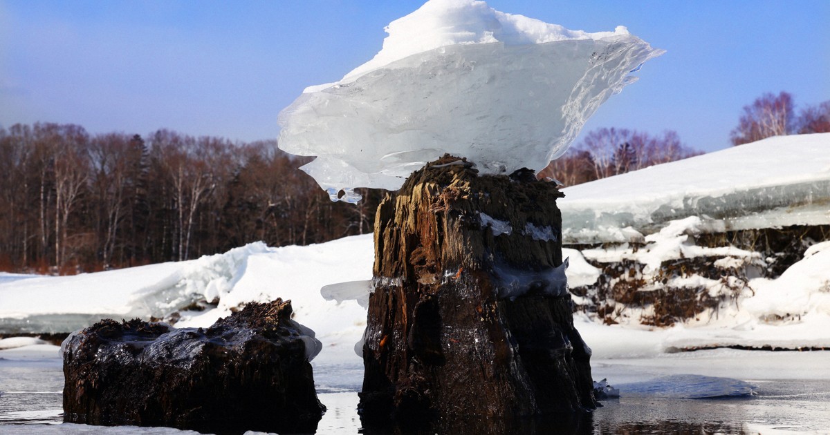 北海道・糠平湖に「キノコ氷」出現 冬の風物詩、凍結湖面で散策も 