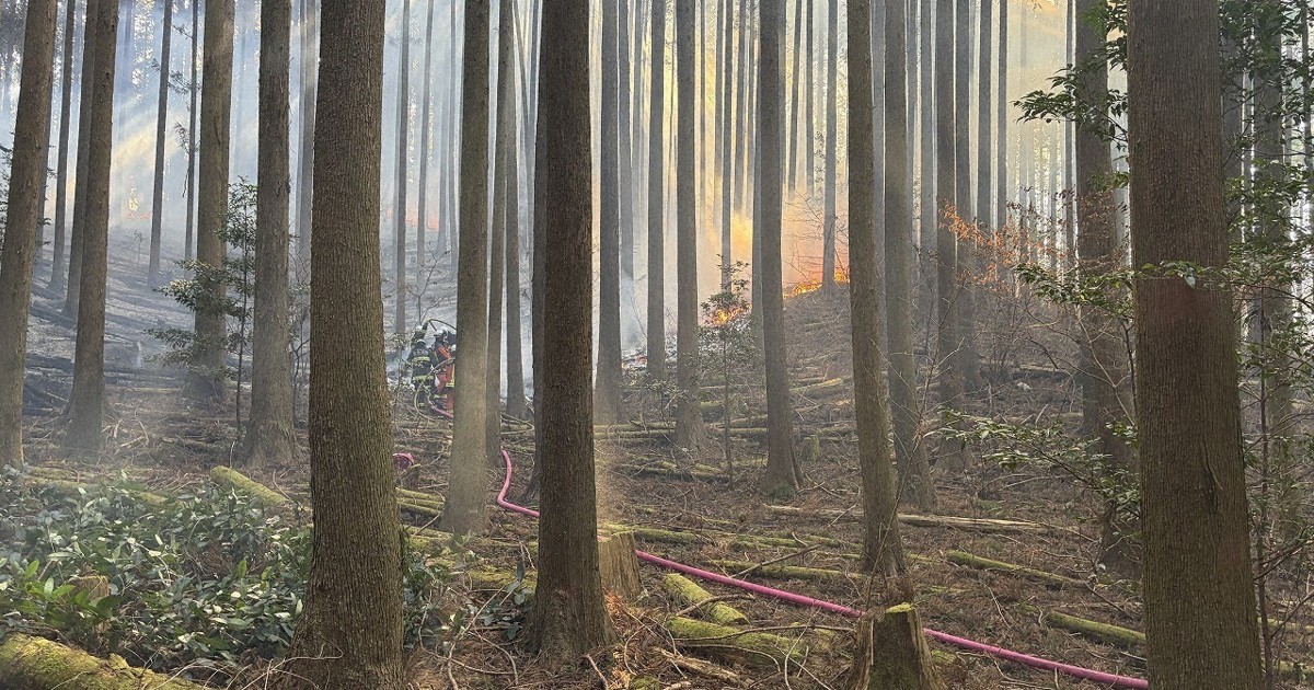 静岡・藤枝の山林火災 火の勢い弱まるも鎮圧ならず 17日発生 | 毎日新聞