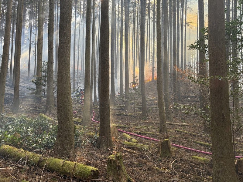 静岡・藤枝の山林火災 火の勢い弱まるも鎮圧ならず 17日発生 | 毎日新聞