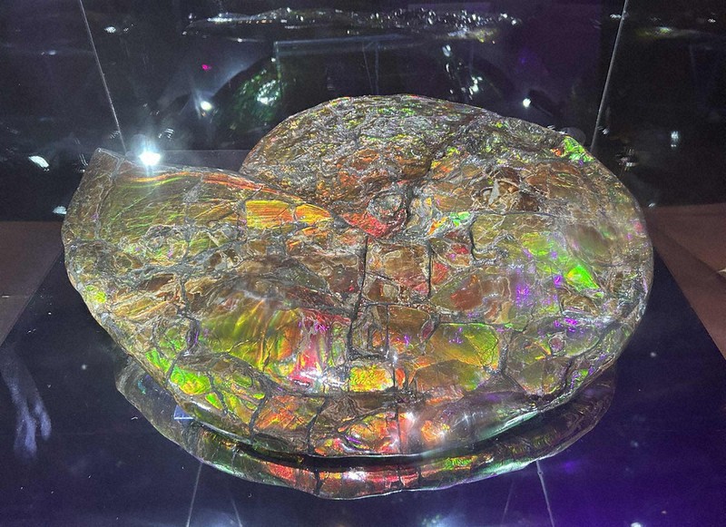 奇跡の構造「アンモライト」 4ナノメートルの隙間がカギ 宝石のような