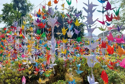 火災現場近くの公園には追悼の折り鶴が寄せられた（香港・大埔で２０２５年12月）（筆者撮影）