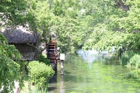 A water mill with striking thatched roof can be seen along the banks of the Tade River in this photo taken May 15, 2025, in Azumino, Nagano Prefecture. (Mainichi/Hideaki Takahashi)