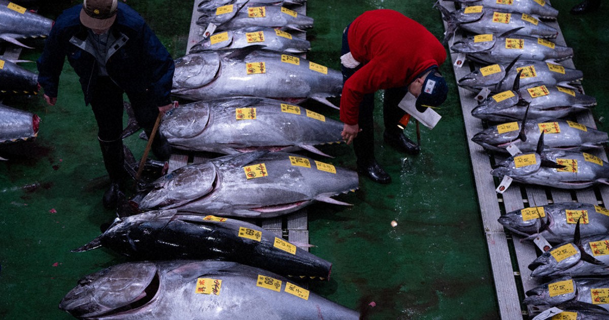Japan inflation rate at 2.4% in Dec. on food costs, above BOJ target