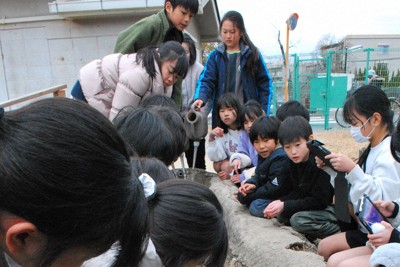 聖牛3個を置いた水路に水を流し、効果を確かめる児童ら＝奈良市の奈良女子大付属小で2026年1月26日、大川泰弘撮影