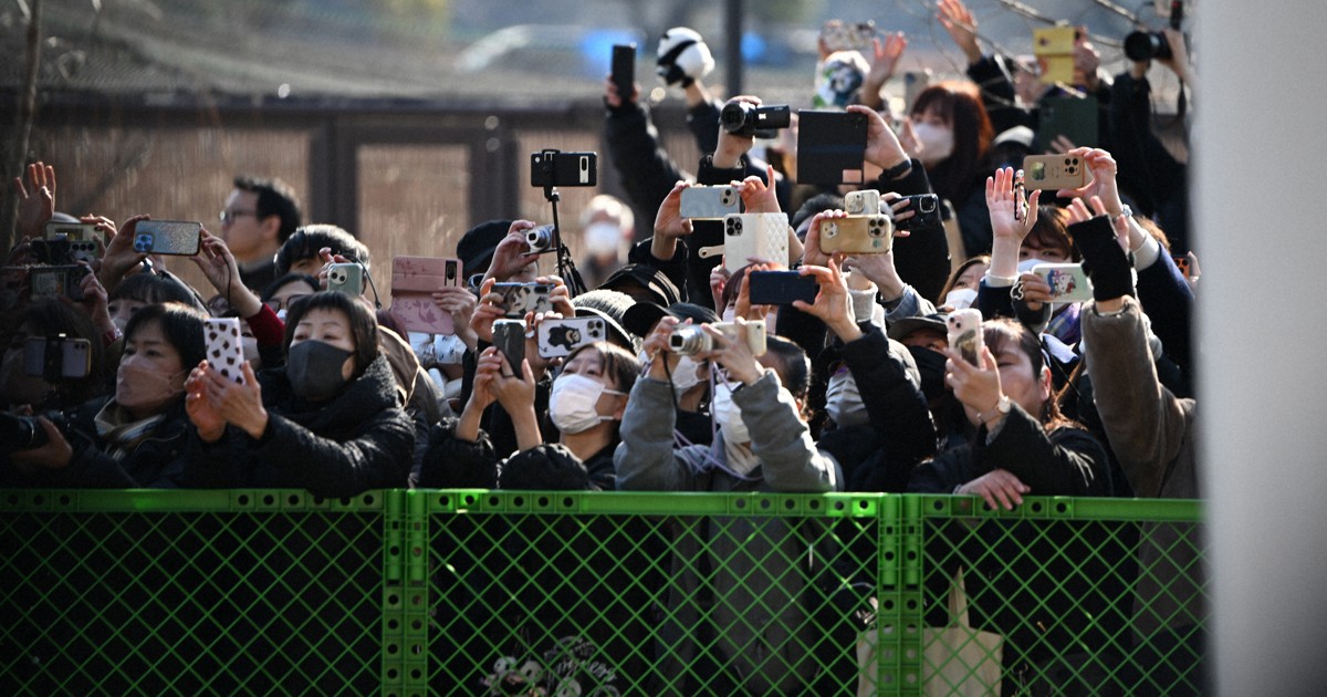 シャオシャオとレイレイが上野動物園を出発　夜に成田空港から出国へ
