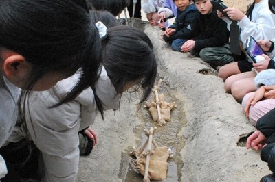 聖牛3個を置いた水路に水を流し、効果を確かめる児童ら＝奈良市の奈良女子大付属小で2026年1月26日、大川泰弘撮影