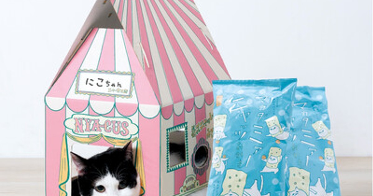 プレスリリース：ネコ好き社員がネコ目線で考案 2.22(ニャン