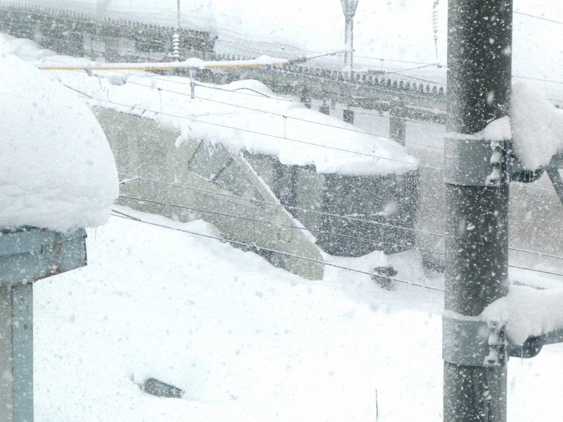 大雪の青森駅で立ち往生5日目　「四季島」見ようと鉄道ファンの姿も