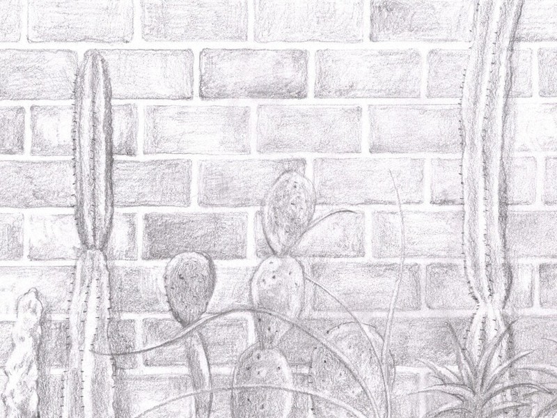 ／264　辻村深月　画　佐伯佳美