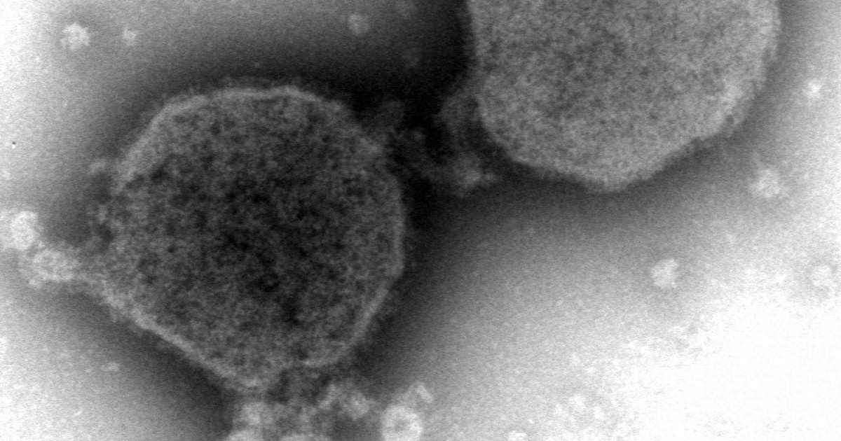 妊婦のRSウイルスワクチン、接種率11.6％　4月から定期接種に