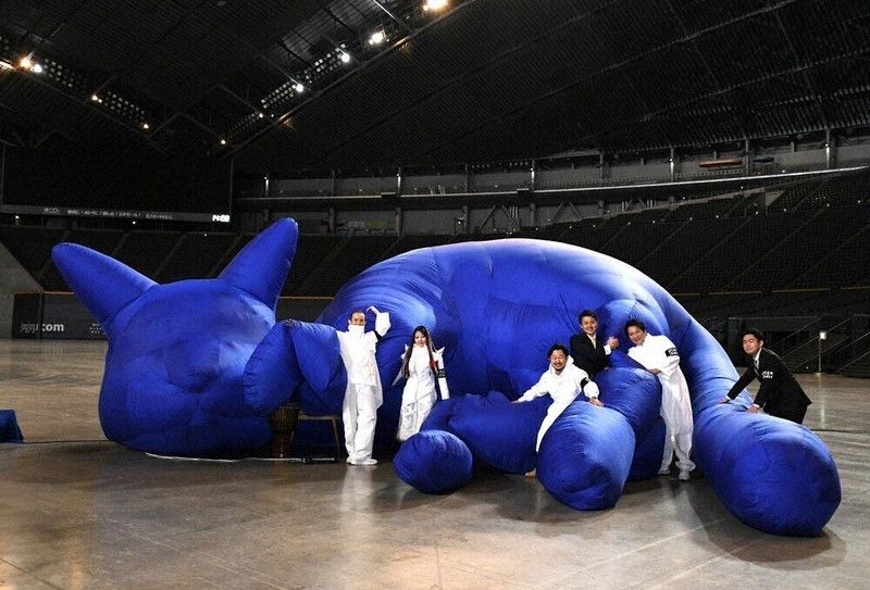ニャ～んと巨大ネコ「彫刻」 ドーム展望台に全長9メートルアート 札幌