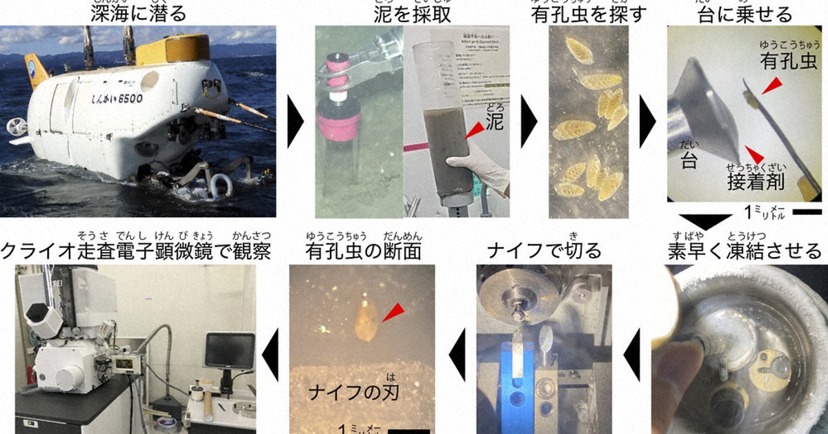 指令！海を探究せよ：深海を凍らせて見る | 毎日新聞