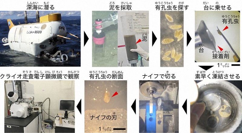 指令！海を探究せよ：深海を凍らせて見る | 毎日新聞