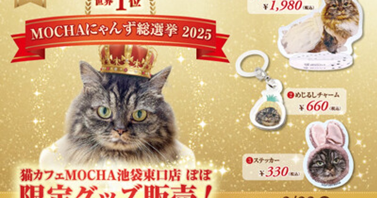 プレスリリース：「MOCHAにゃんず総選挙2025」世界1位記念！特別な装い