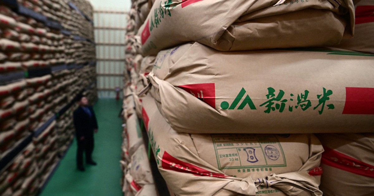 Japan rice price may dip to 'fair' 3,250 yen per 5 kg by June: expert