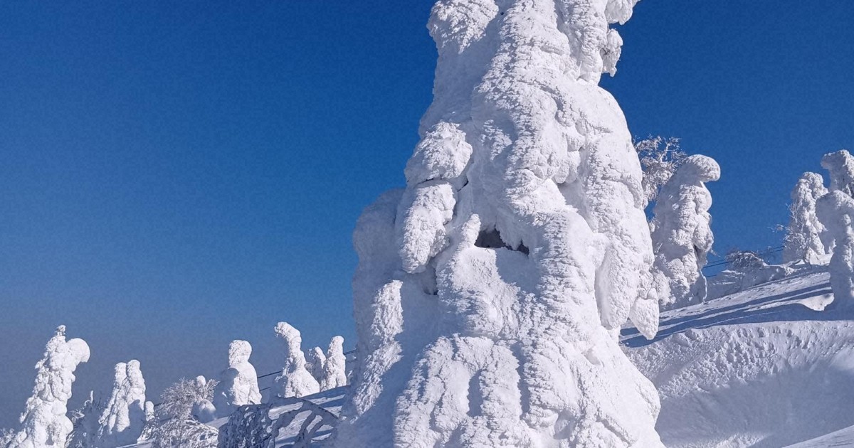 巨大な樹氷「スノーモンスター」、観光客を魅了 青森・八甲田山 [写真