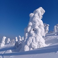 巨大な樹氷「スノーモンスター」、観光客を魅了 青森・八甲田山 [写真