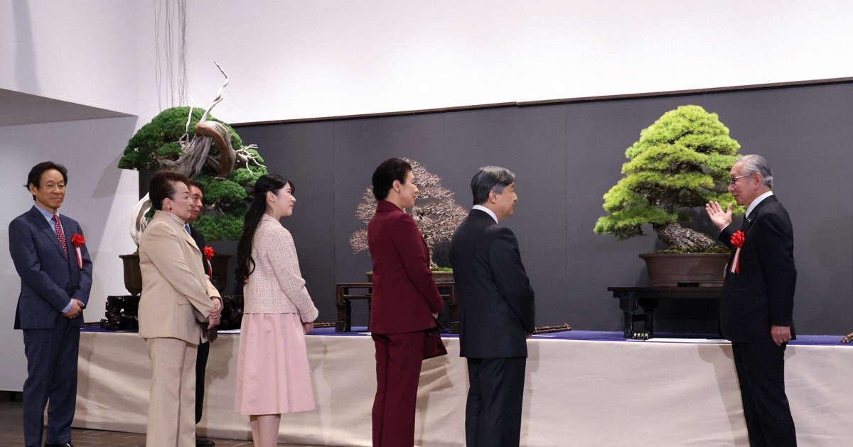 国風盆栽展 第37回 記念帖 国風盆栽会 宮内庁 高松宮家 国風盆栽展 特別出品宮内庁