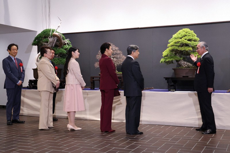 天皇ご一家、国風盆栽展へ 推定樹齢800年以上の真柏など鑑賞 | 毎日新聞