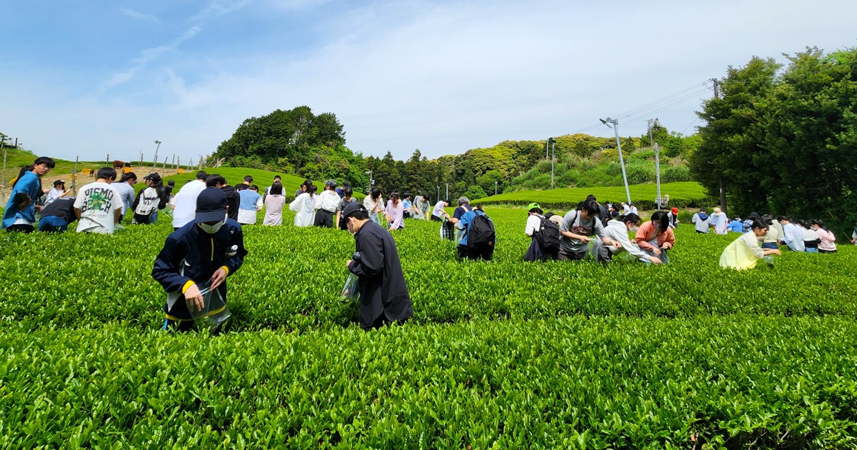 JICAトピックス：国際協力を日本の力に② ザンビアで学んだ農業が静岡