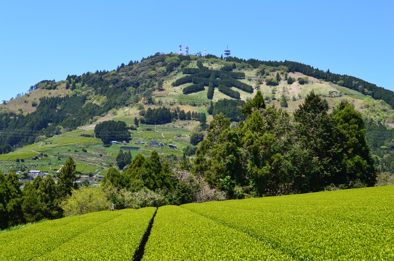 JICAトピックス：国際協力を日本の力に② ザンビアで学んだ農業が静岡