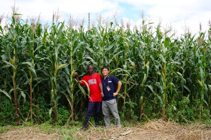 JICAトピックス：国際協力を日本の力に② ザンビアで学んだ農業が静岡